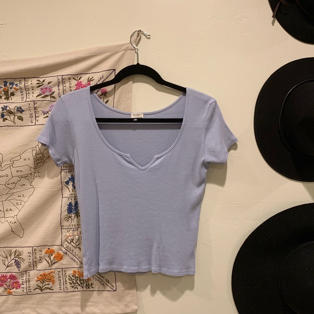 Brandy Melville Blue Crop Top